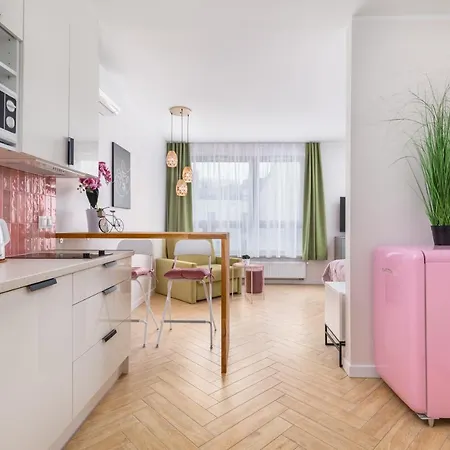 公寓 Old Town Pink 什切青